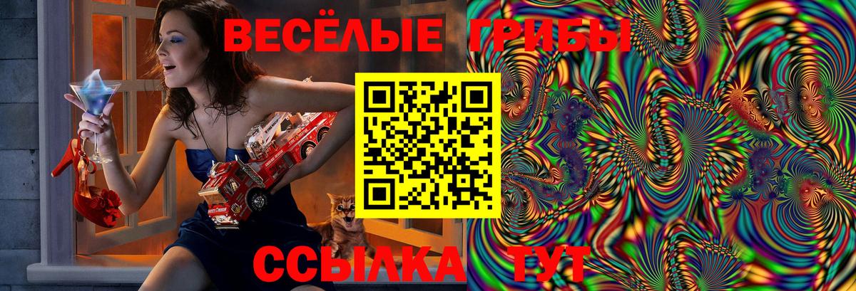 Галлюциногенные грибы ЛСД Котлас